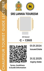 Chauffeur tour guide lecturer