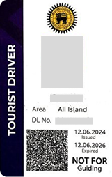 Tourist driver